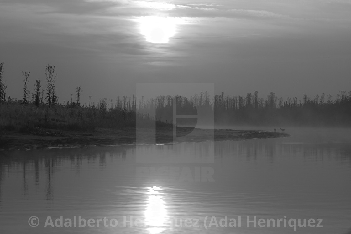 "Morning in Gray" stock image