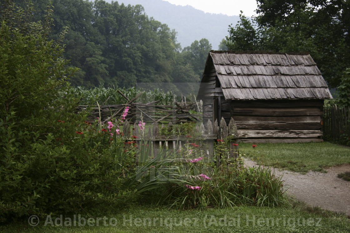 "Flores de las Carolinas" stock image