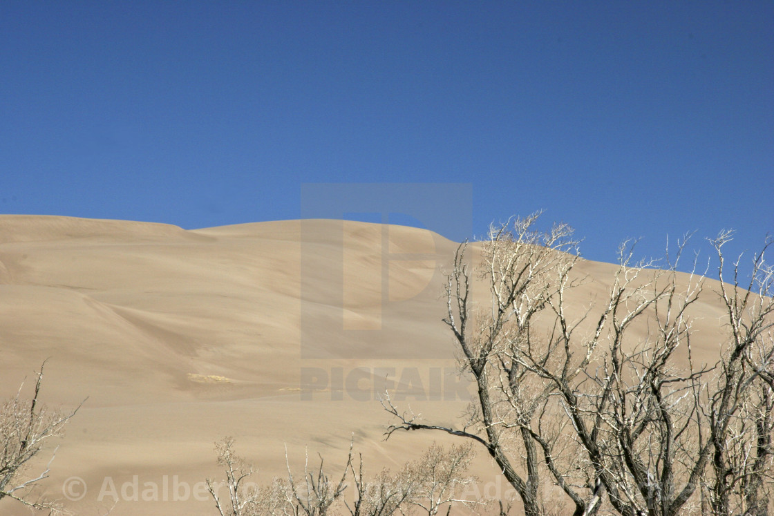 "Dunes" stock image