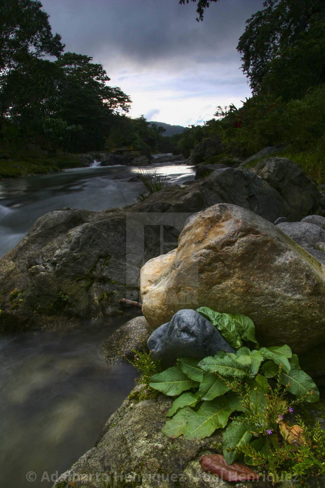 "By the Rocks" stock image