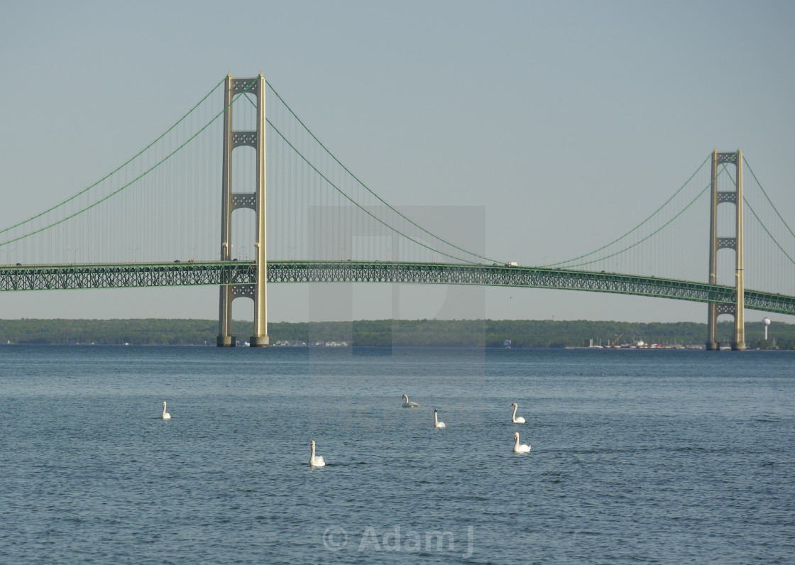 "Mackinac Bridge Birds, Saint Ignace, Michigan" by Adam J. - $12.57 "Mackinac Bridge Birds, Saint Ignace, Michigan" stock image