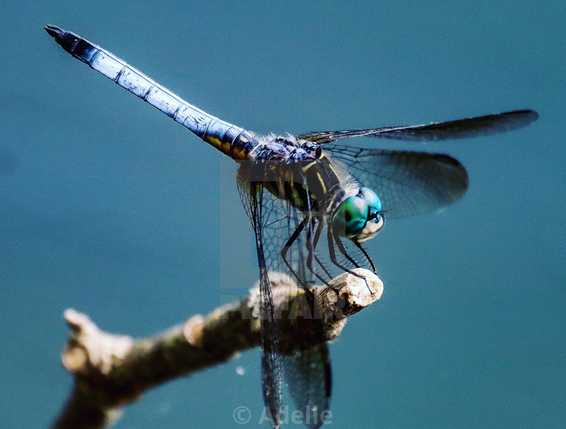 "Hanging On" stock image