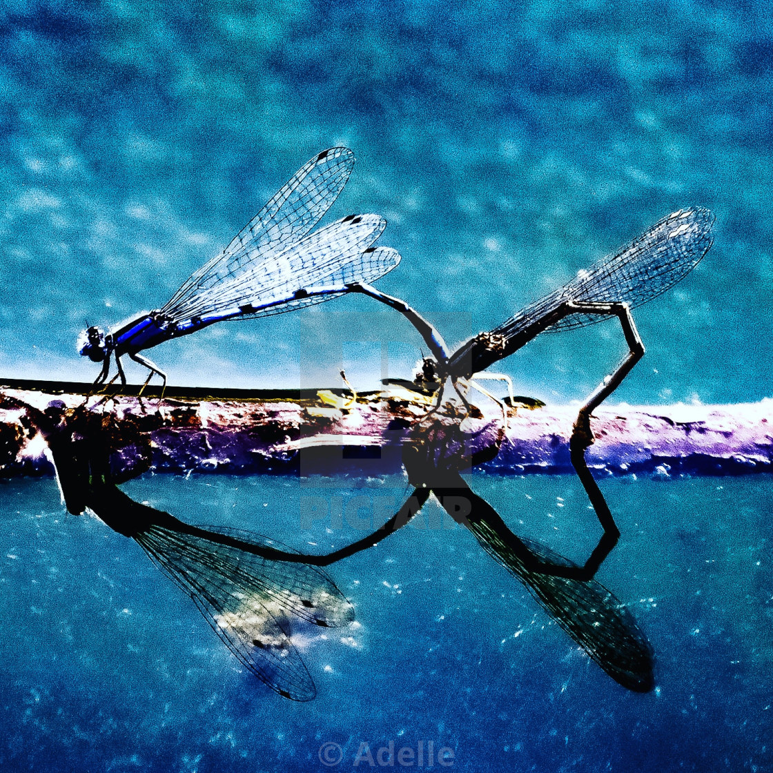 "Reflect Love" stock image