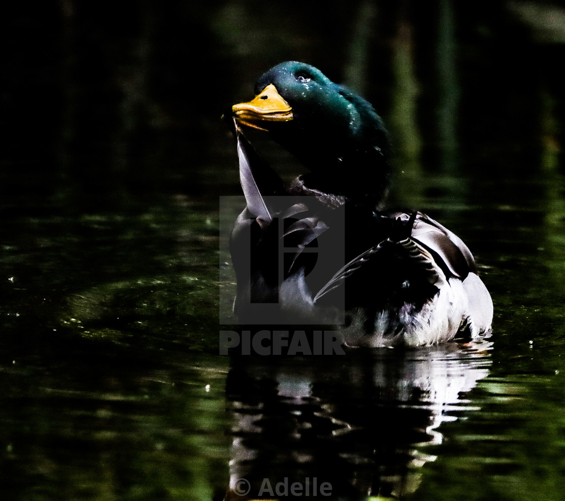 "Sshhhhh..." stock image