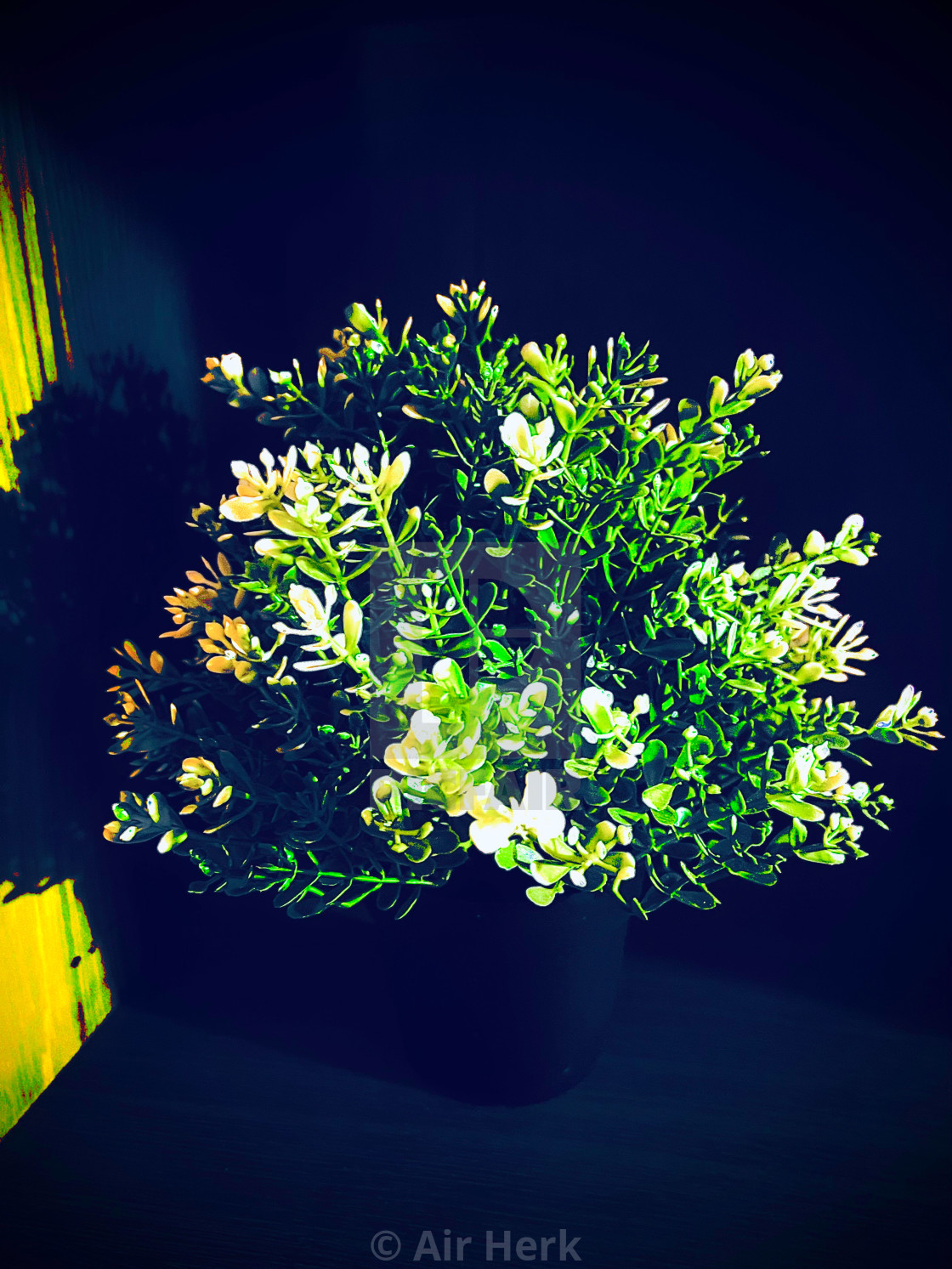 "Artificial flower plant with yellow shadow" stock image