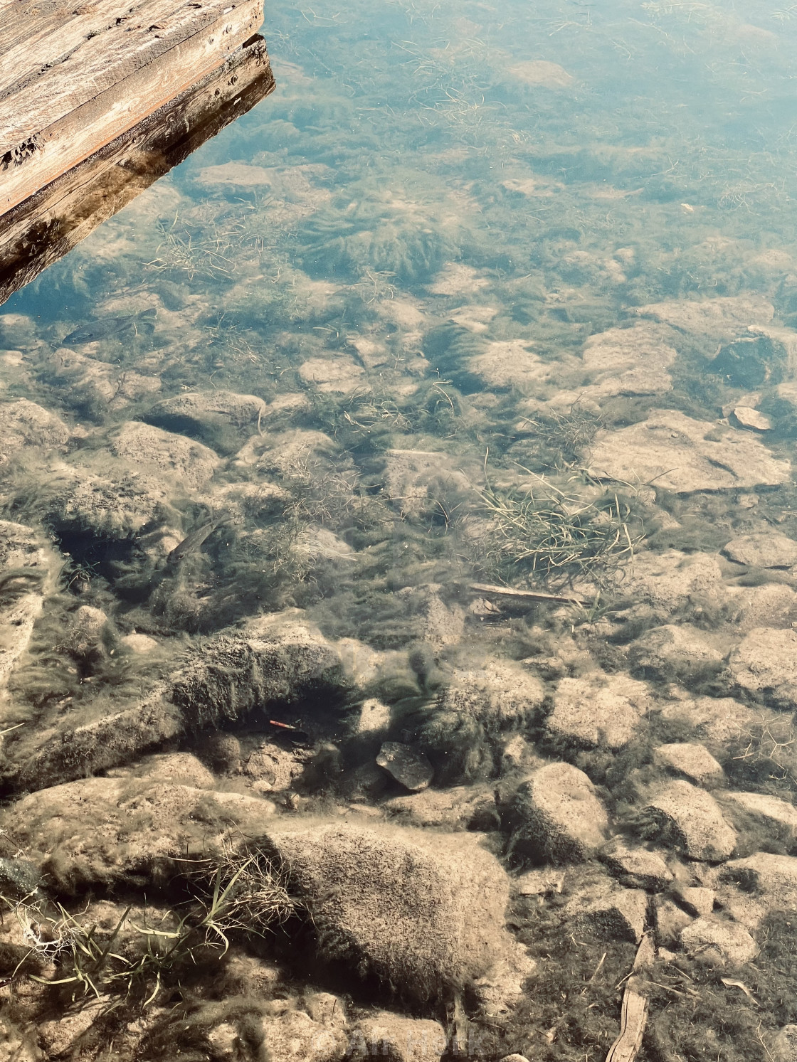 "Wood, rocks and water" stock image