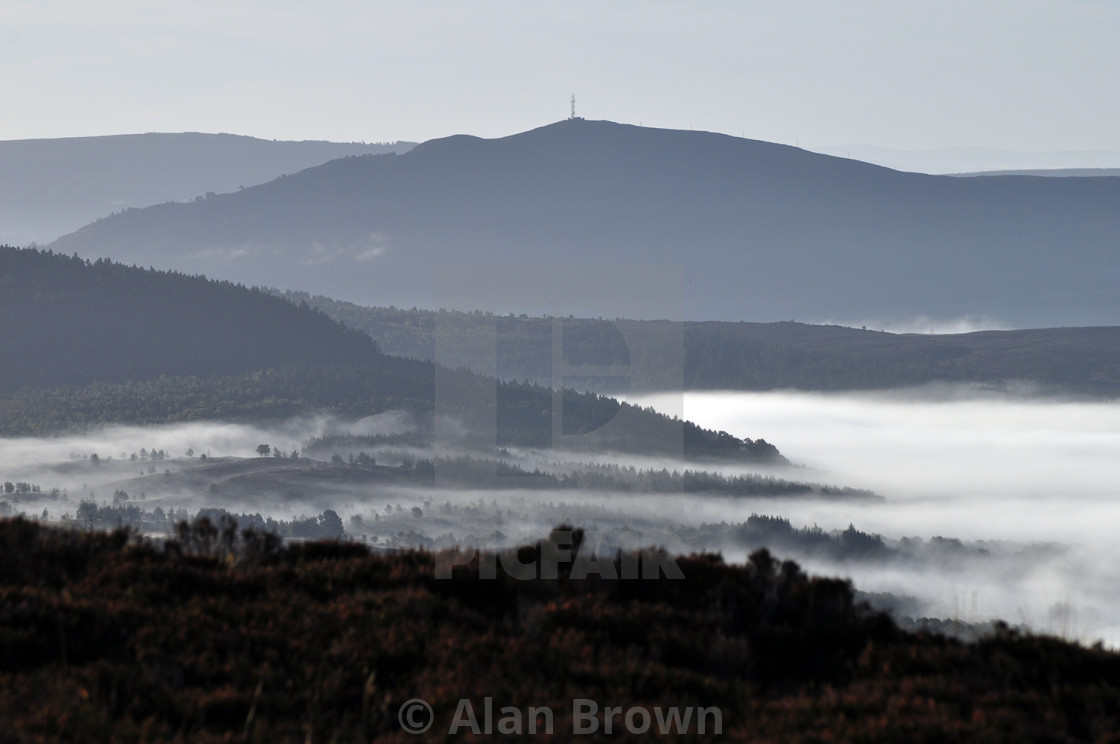 "Struie Hill" stock image