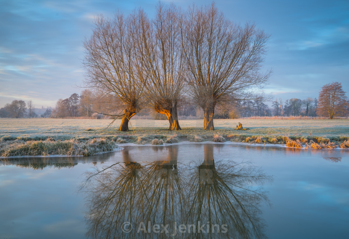 "First Frost Dedham Sunrise" by Alex Jenkins - $23.16 "First Frost Dedham Sunrise" stock image