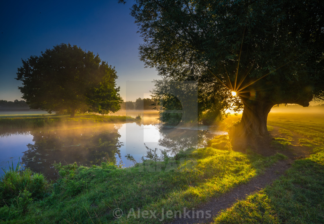 "Dedham Summer Sunstar" by Alex Jenkins - $23.16 "Dedham Summer Sunstar" stock image