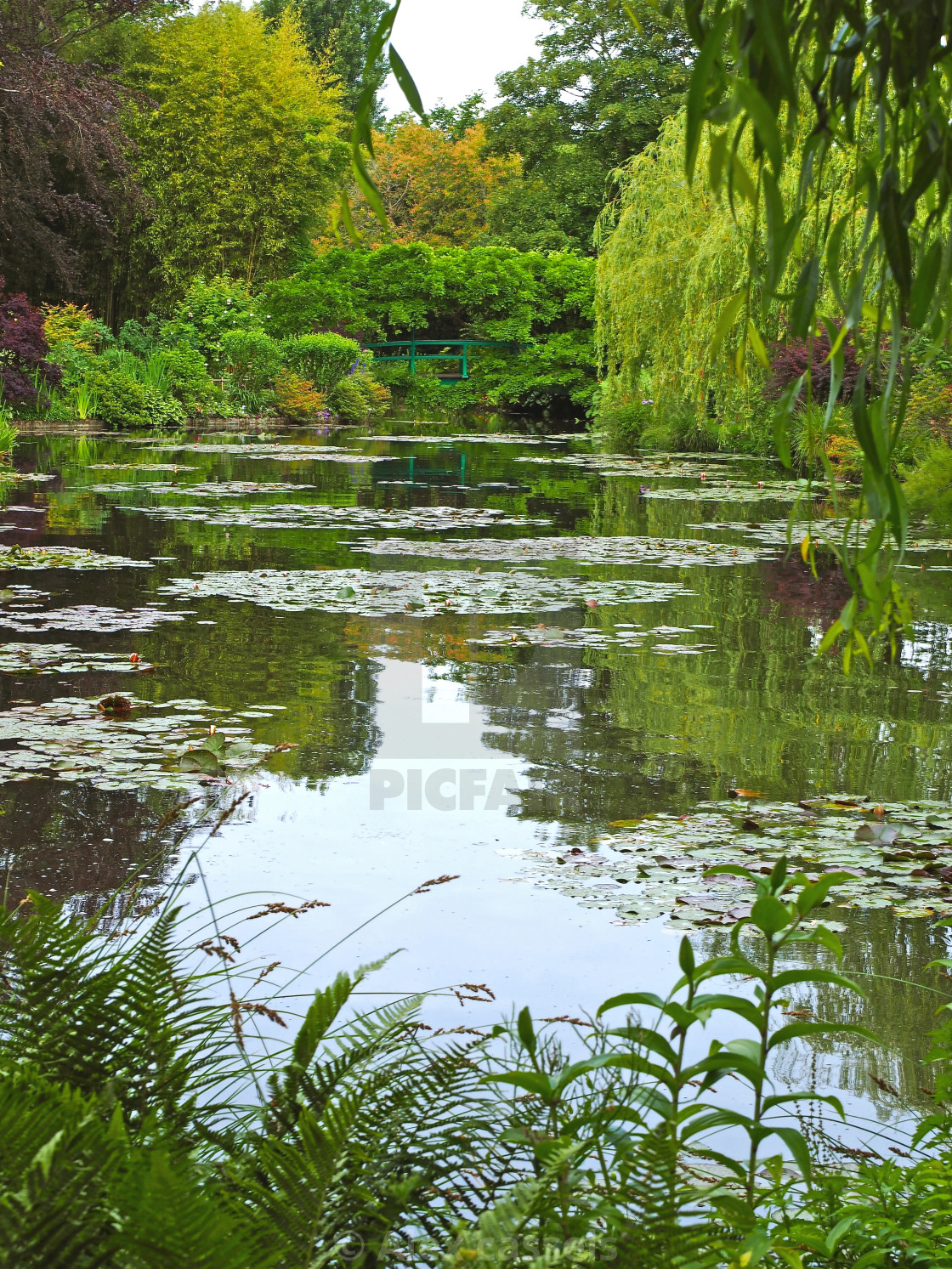 "Claude Monet's Water garden" stock image