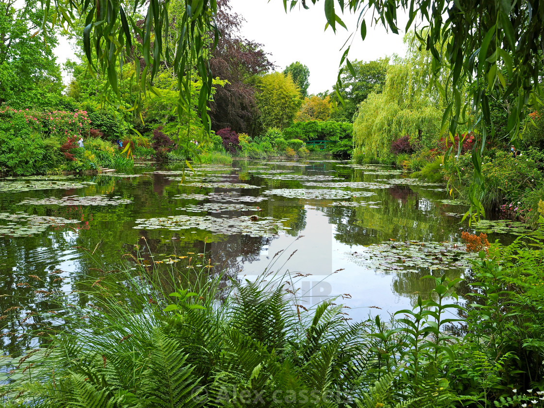 "Claude Monet's water garden at Giverny" by Alex cassels - $31.58 "Claude Monet's water garden at Giverny" stock image