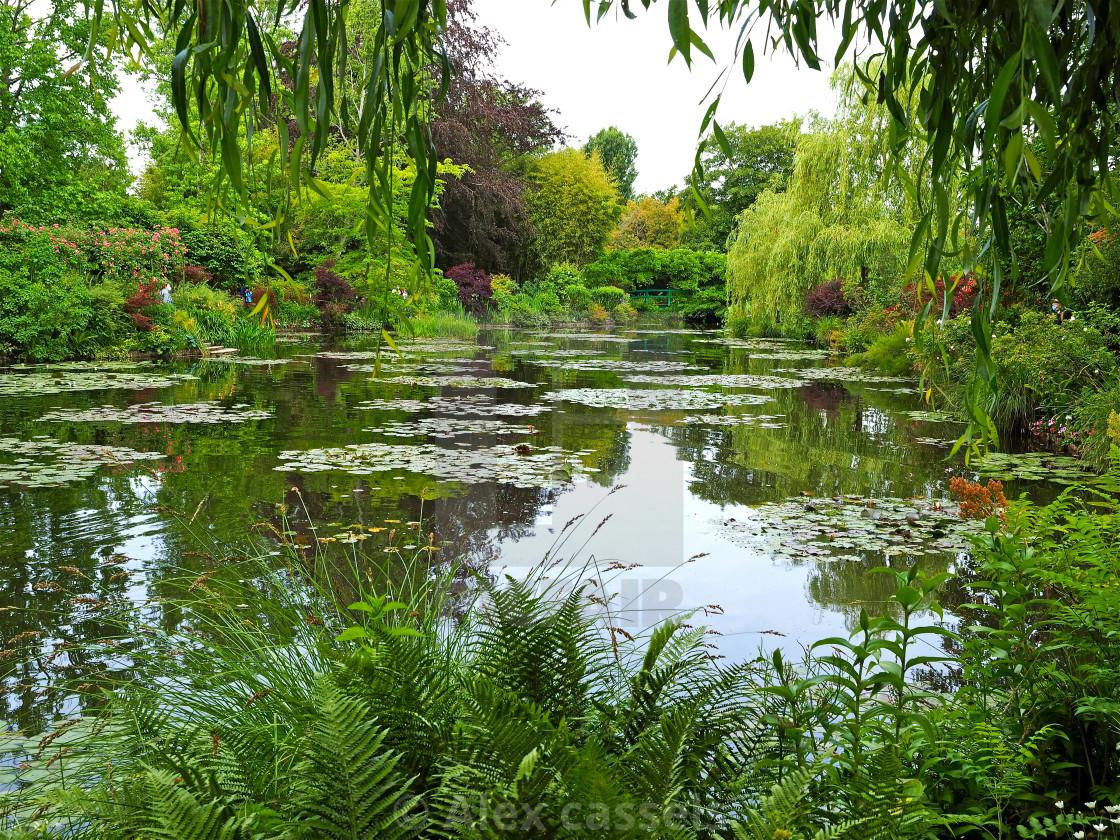 "Claude Monet's water garden at Giverny" stock image