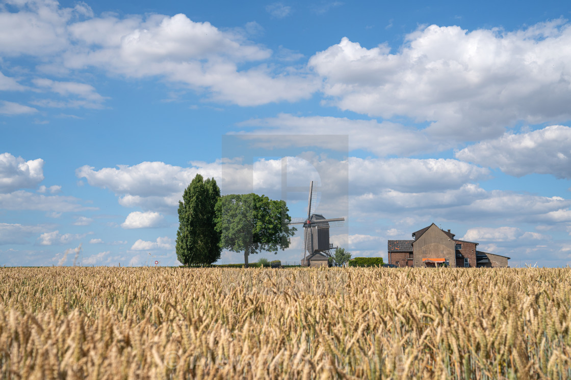 "Windmill, Titz, North Rhine Westphalia, Germany" stock image