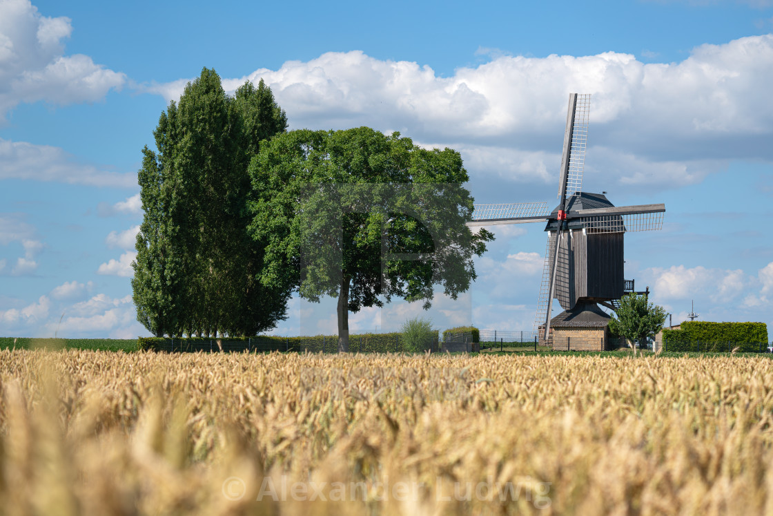 "Windmill, Titz, North Rhine Westphalia, Germany" stock image