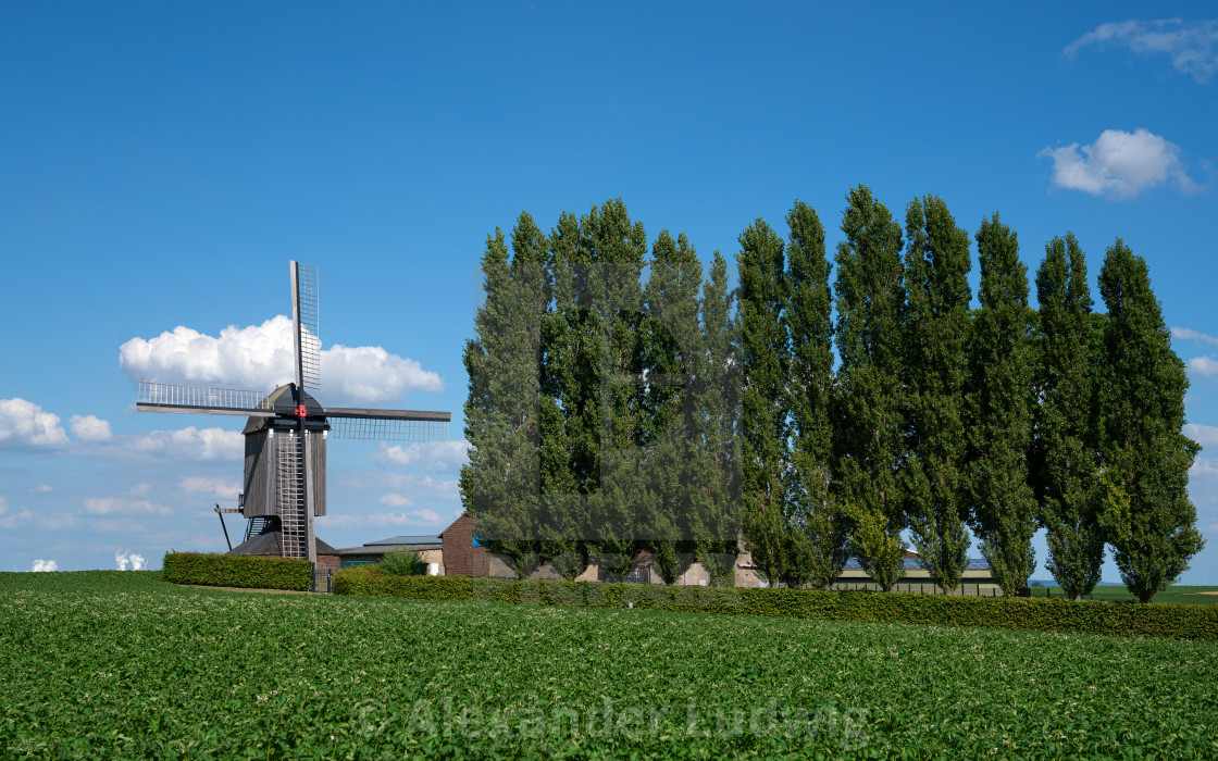 "Windmill, Titz, North Rhine Westphalia, Germany" stock image