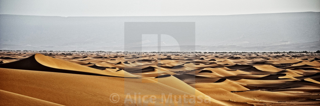 "Sahara Desert dunes" stock image