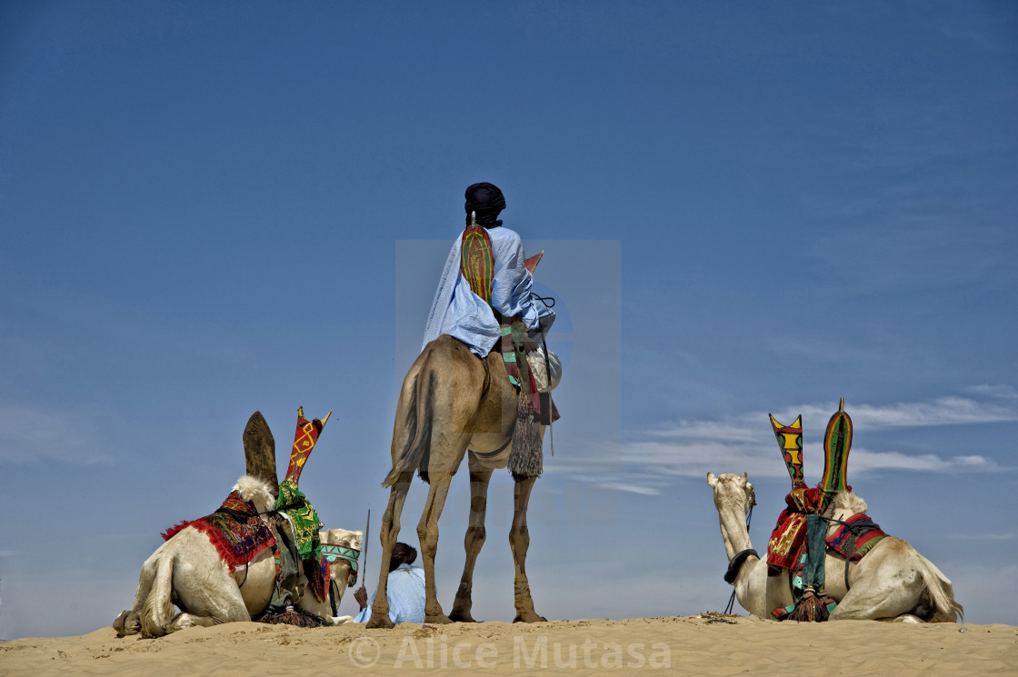 "Touaregs and camels; Sahara Desert, Mali" by Alice Mutasa - $50.27 "Touaregs and camels; Sahara Desert, Mali" stock image