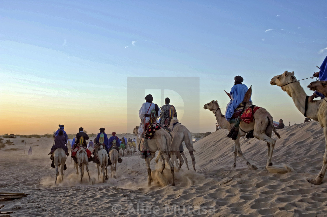 "Touaregs and camels at sunset; Sahara Desert" by Alice Mutasa - $50.80 "Touaregs and camels at sunset; Sahara Desert" stock image