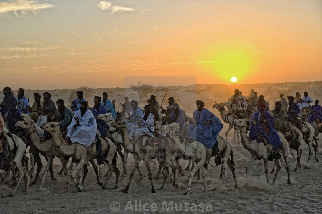 "Touaregs and camels at sunset; Sahara Desert" by Alice Mutasa - $50.80 "Touaregs and camels at sunset; Sahara Desert" stock image