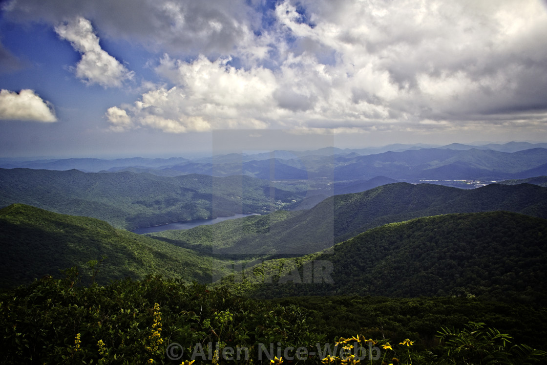 "A Distant Gaze" stock image