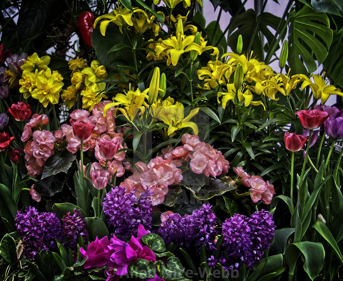 "Flowers For You" stock image