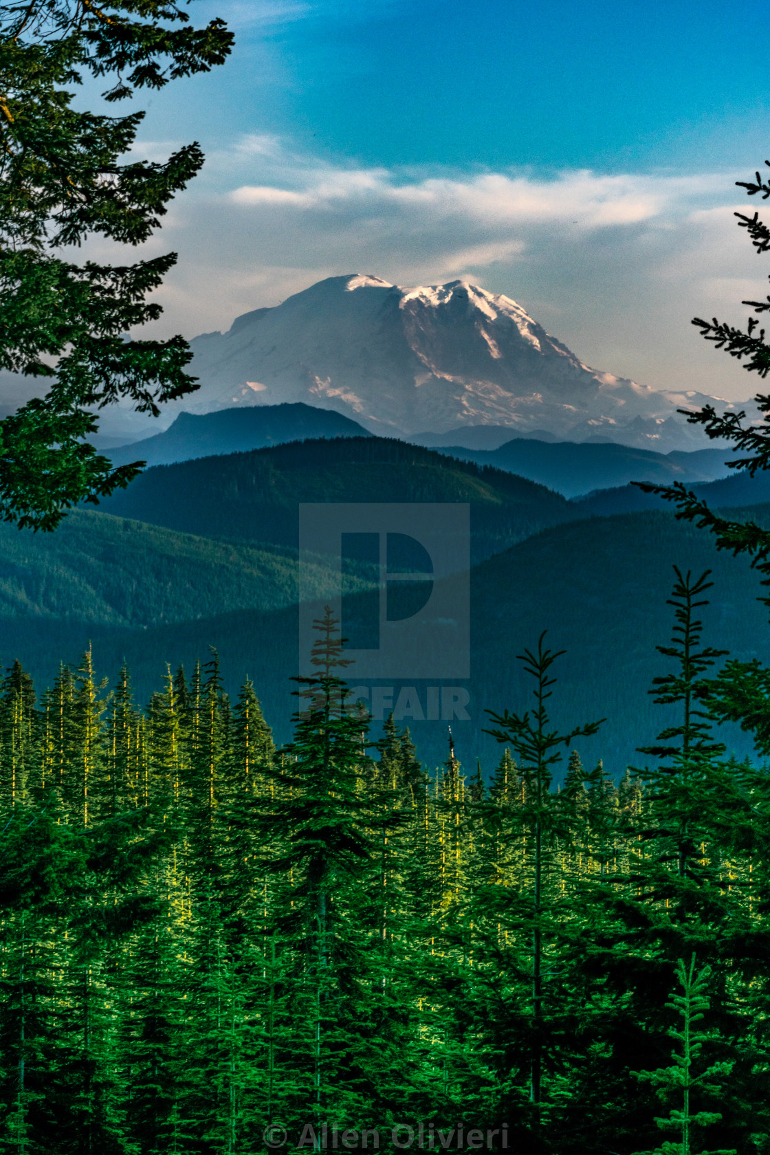 "Mount Rainier" stock image