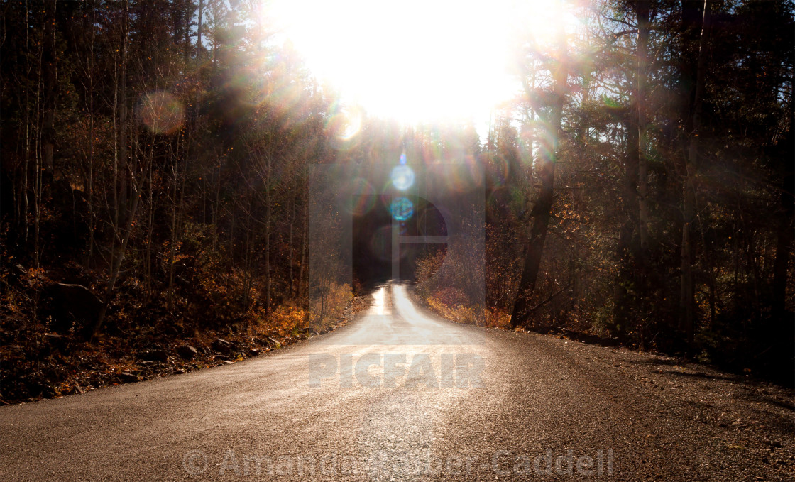"The Enlightened Path" by Amanda Raiber-Caddell - $19.92 "The Enlightened Path" stock image