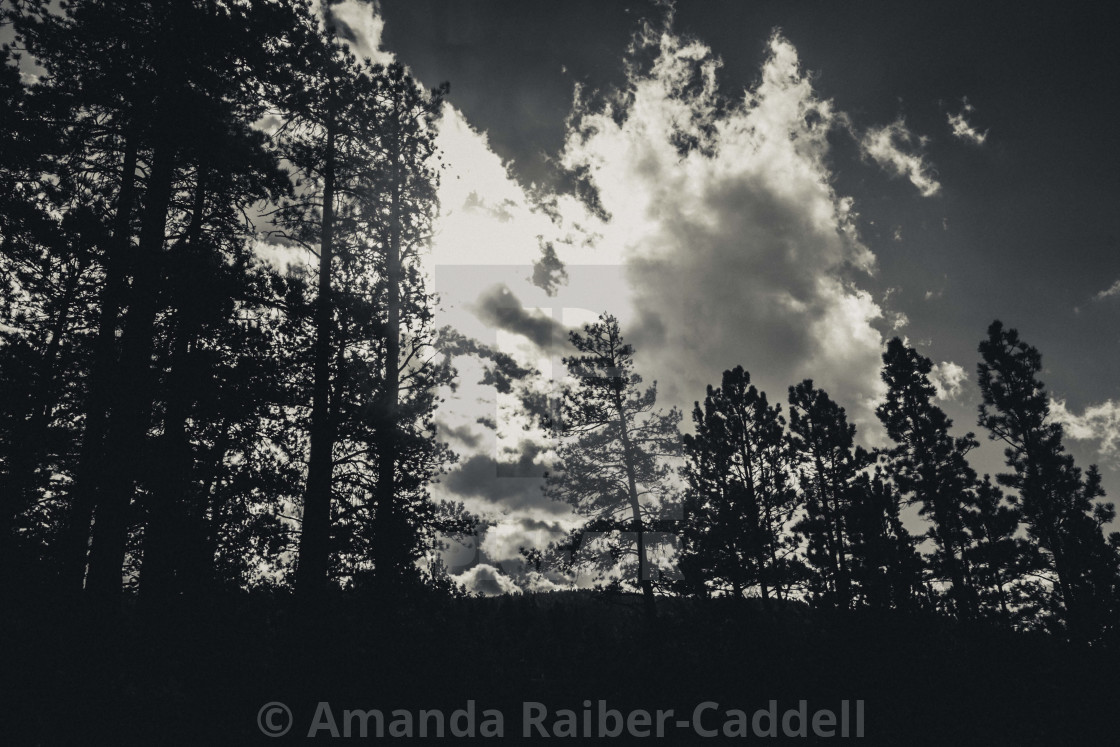 "Light in the Clouds" by Amanda Raiber-Caddell - $19.54 "Light in the Clouds" stock image