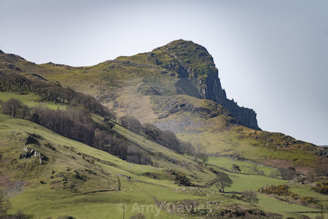 "Castell Y Bere, Snowdonia" stock image