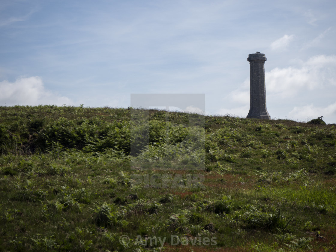 "Hardy Monument, Dorset" stock image