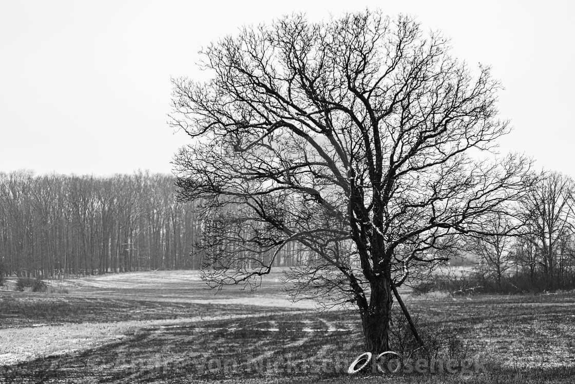 "Standing Alone" stock image