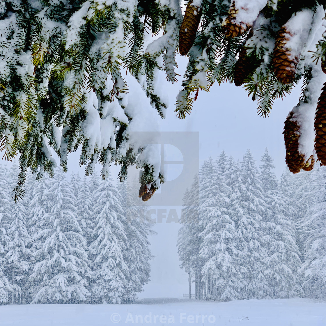 "A snowy day in Val Gardena, Dolomites." stock image