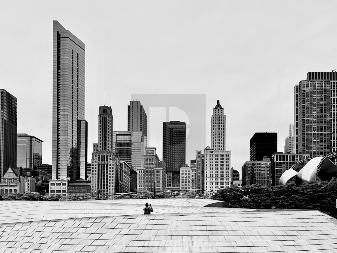 "Chicago Skyline" stock image