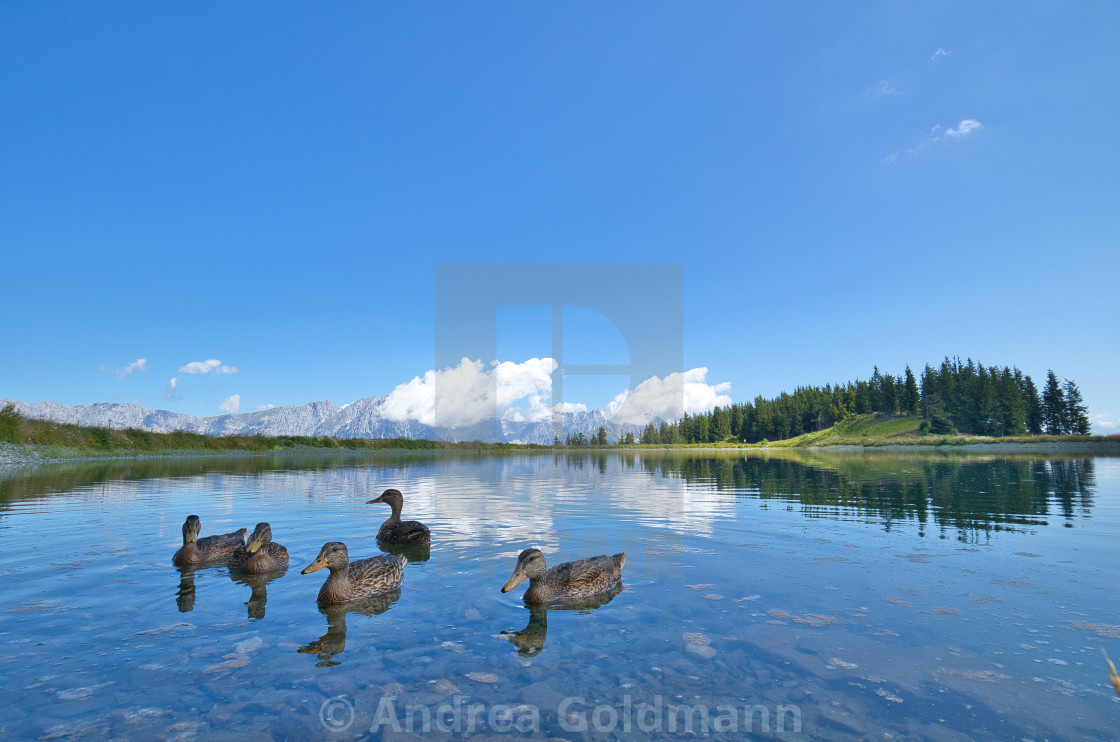 "Do you have something to eat?" by Andrea Goldmann - $15.32 "Do you have something to eat?" stock image