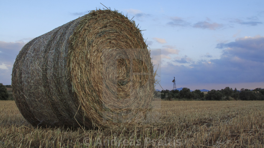 "Straw Bales On A Wheat Field" by Andreas Psaltis - £12.40 "Straw Bales On A Wheat Field" stock image