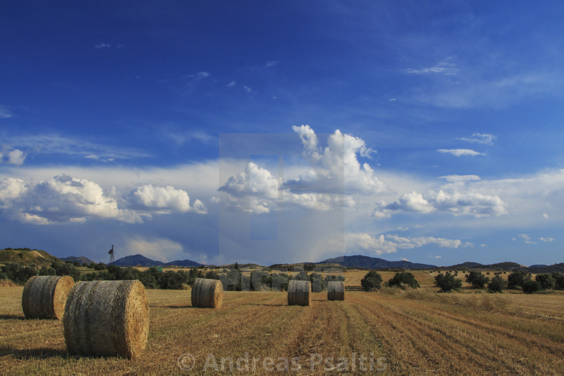 "Panoramic View Of Hay Bales On Autumn" by Andreas Psaltis - £12.40 "Panoramic View Of Hay Bales On Autumn" stock image