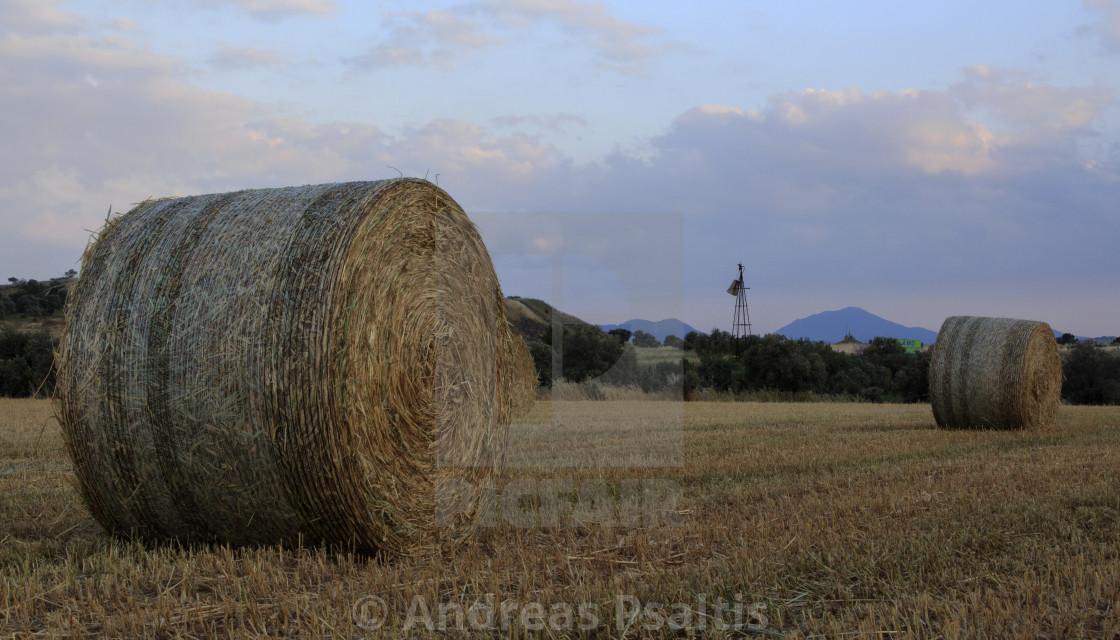 "Wild Hay Bales On Autumn" by Andreas Psaltis - £12.40 "Wild Hay Bales On Autumn" stock image