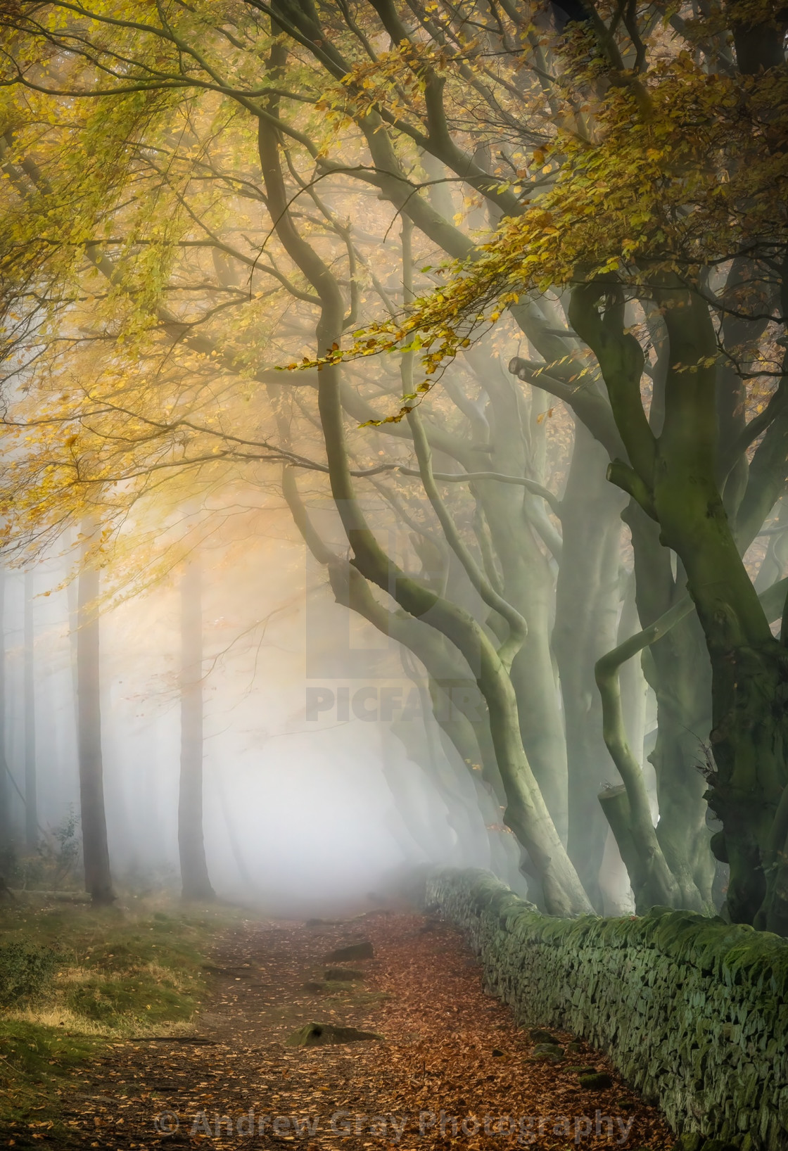 "Autumn Pathway Peak District" stock image