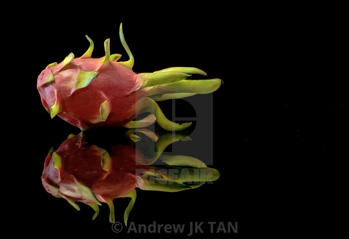 "Dragonfruit 02" stock image