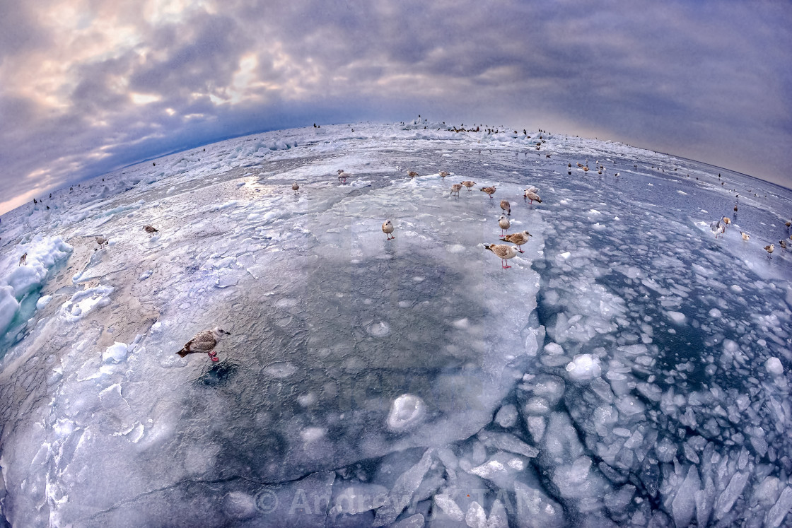 "Frozen Sea" stock image