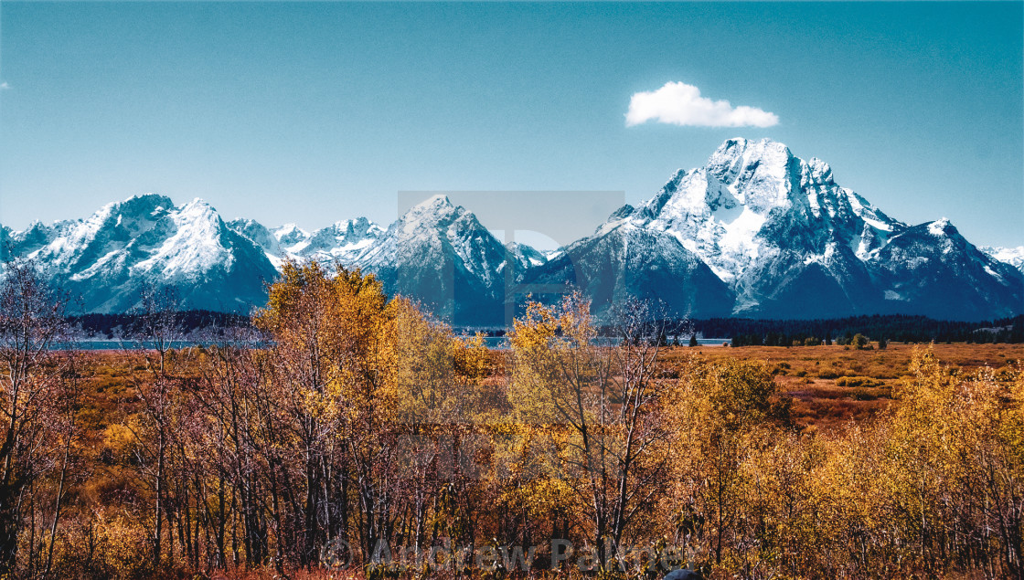 "The Grand Tetons" stock image