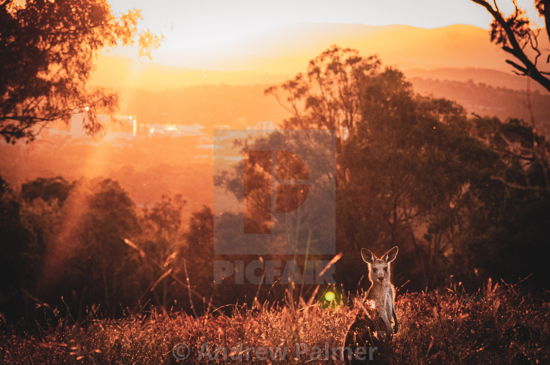 "Hidden Canberra" stock image