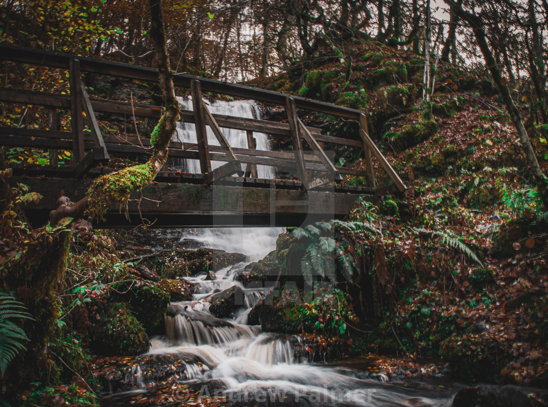 "Woodland Walks" stock image