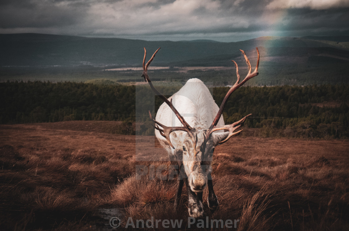 "The End of the Rainbow" stock image