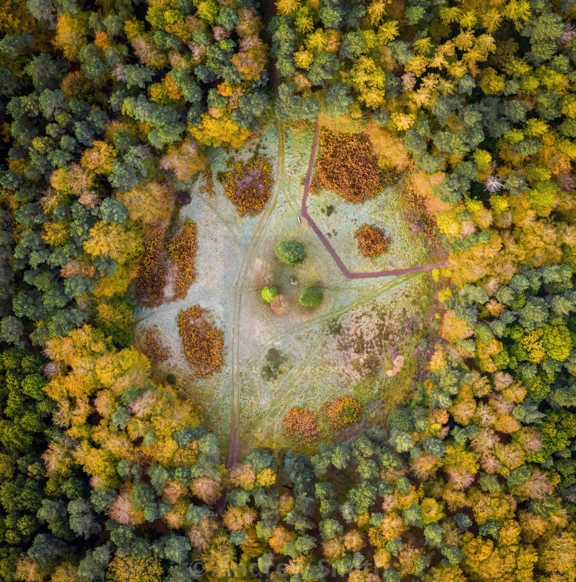 "Binning Memorial Wood, East Lothian" stock image