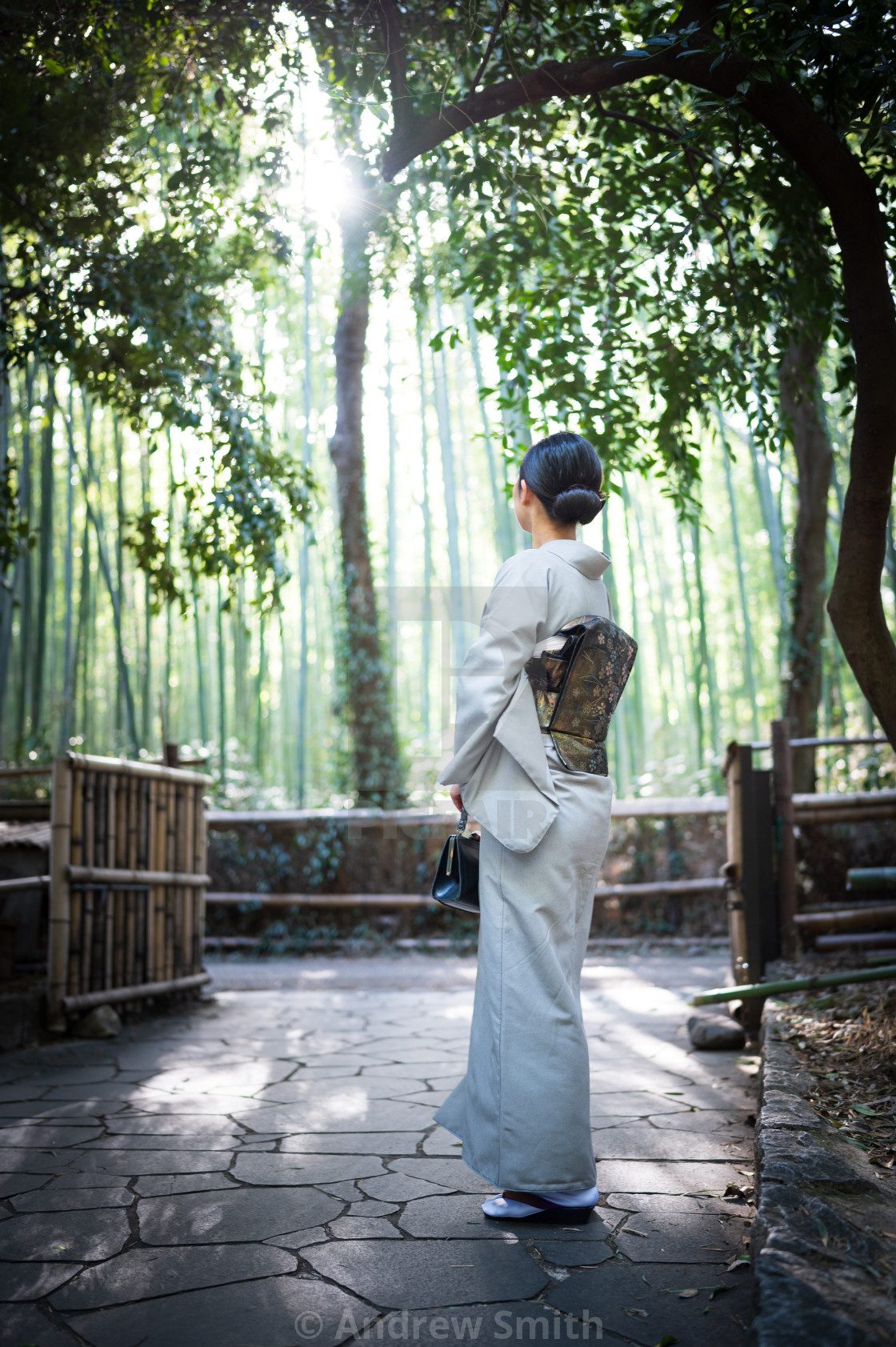 "Bamboo Komorebi" stock image