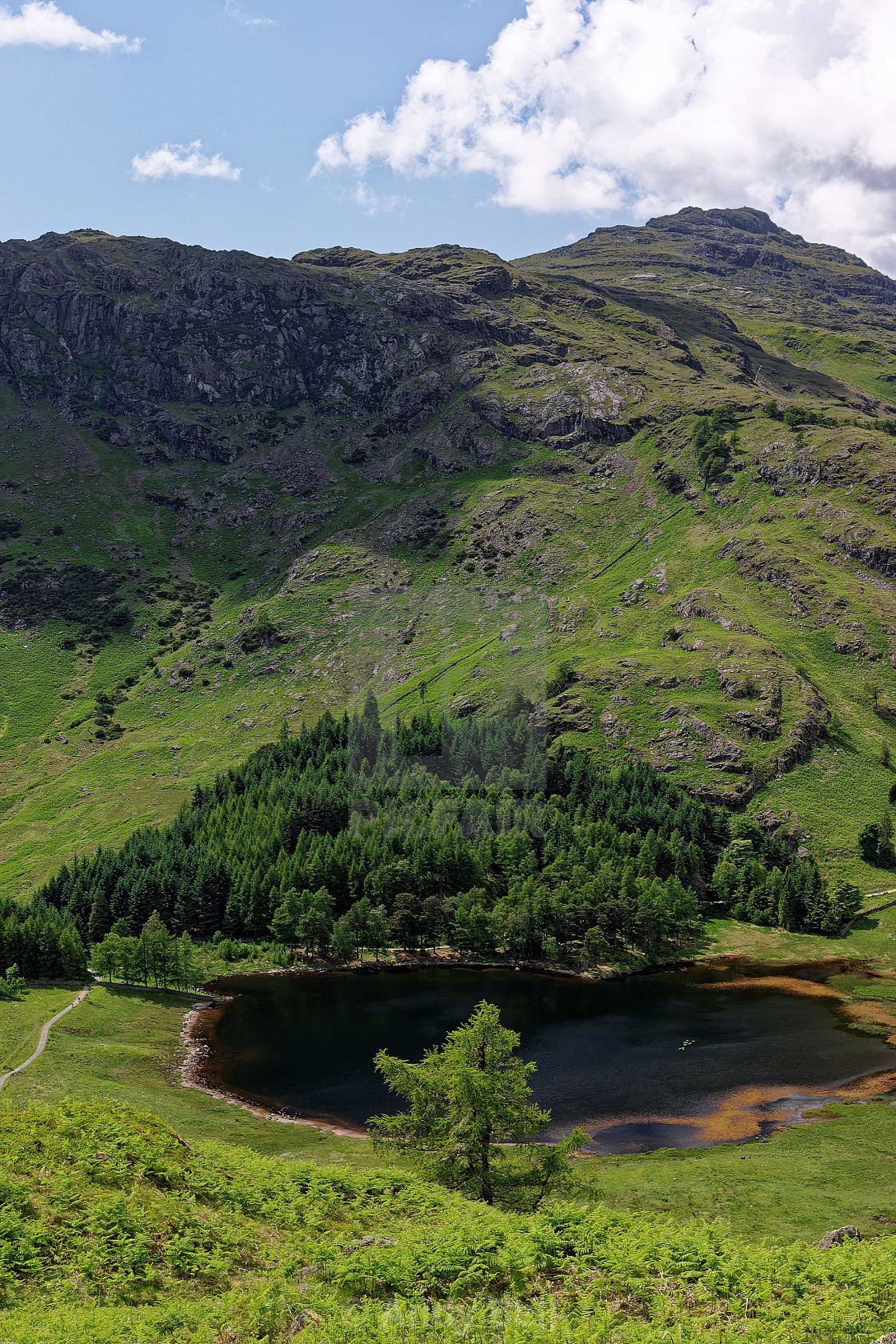 "Blea Tarn from Lingmoor Fell" stock image