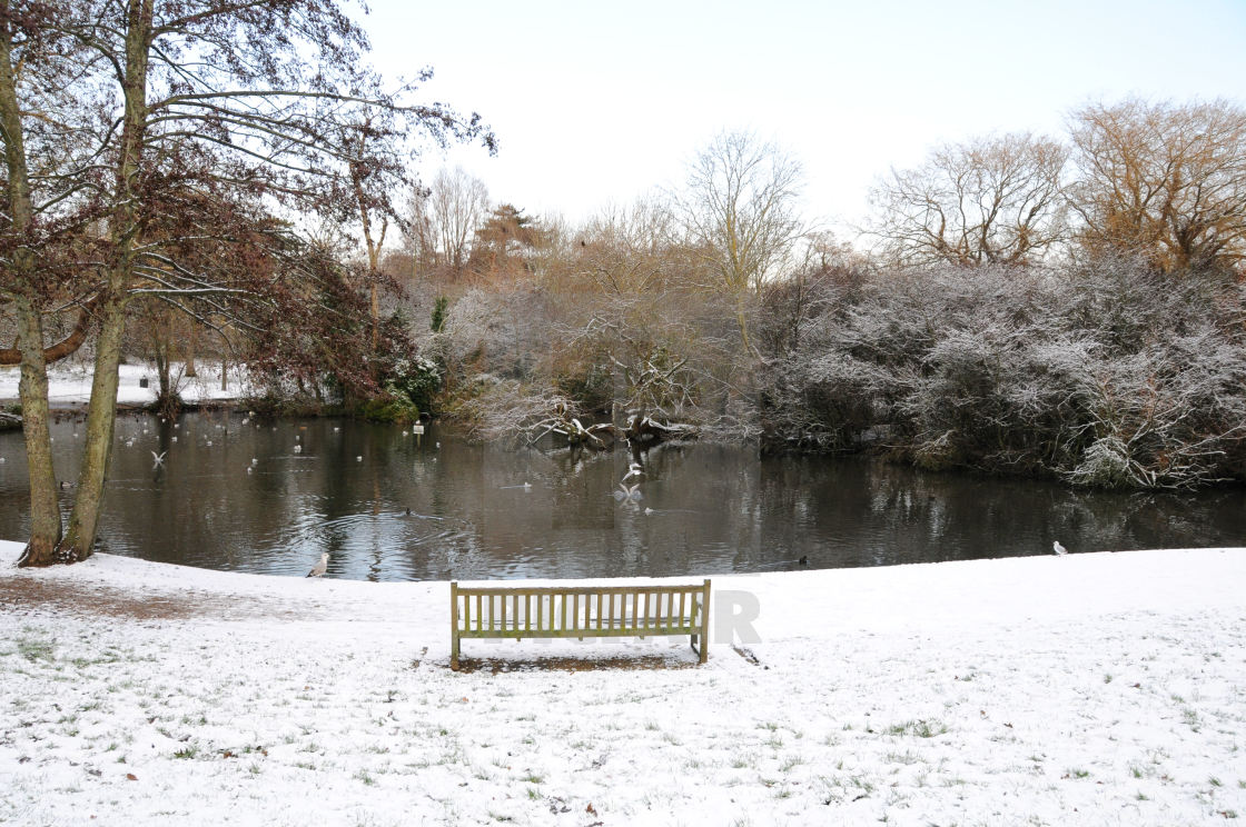 "Snow at Hampden Park lake, Eastbourne, East Sussex. © Andy Butler 2009 This image may not be reproduced without permission of the copyright holder (Andy Butler). Reproduction fees are payable for each use. andy@eastbournephotos.co.uk tel: 07545 289437" stock image