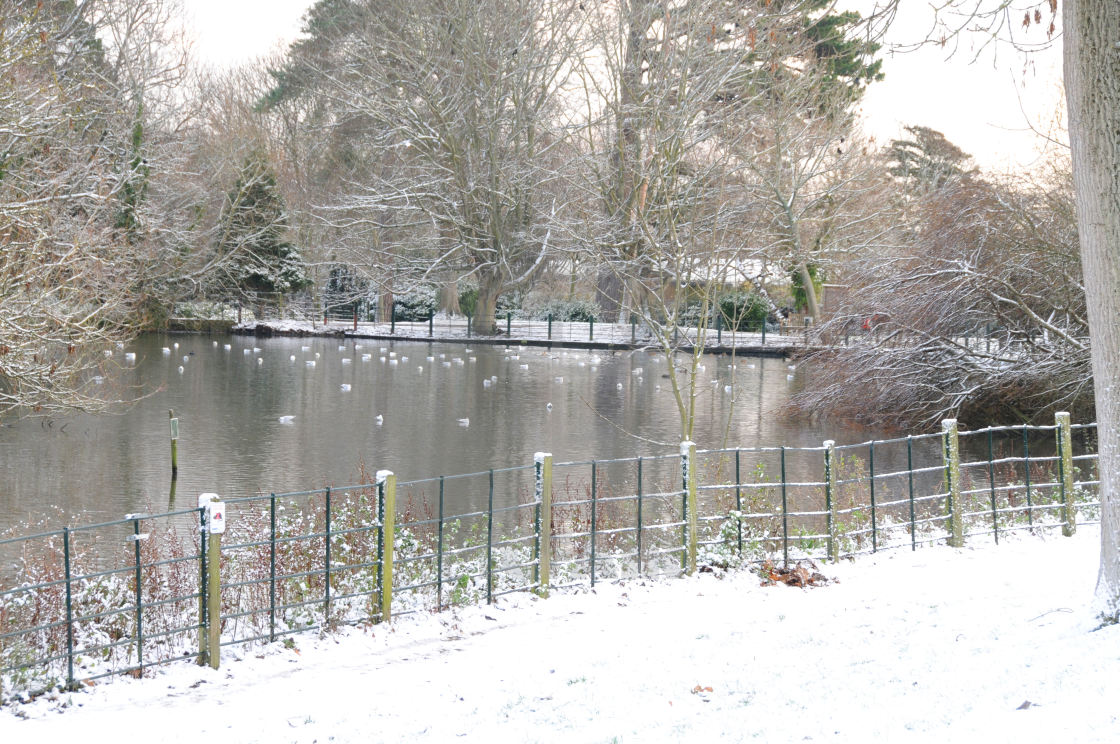 "Snow at Hampden Park lake, Eastbourne, East Sussex. © Andy Butler 2009 This image may not be reproduced without permission of the copyright holder (Andy Butler). Reproduction fees are payable for each use. andy@eastbournephotos.co.uk tel: 07545 289437" stock image