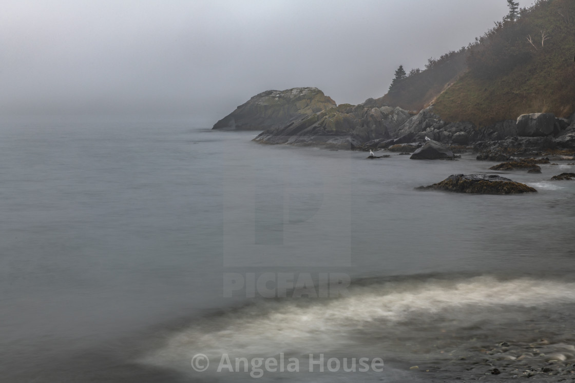 "Tors Cove Newfoundland" stock image